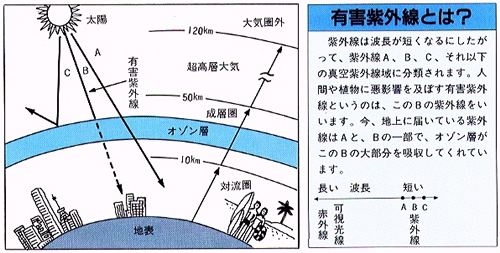 �I�]���w�iOzone layer�j�Ƃ�