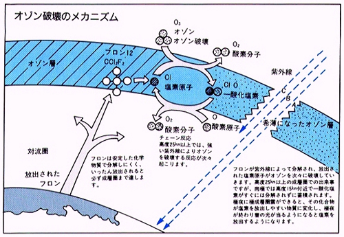 �I�]���w�j��̃��J�j�Y��