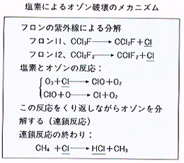 ���f�ɂ��I�]���w�j��̃��J�j�Y��