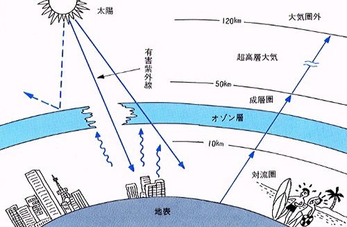 �I�]���w�̔j��