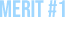 MERIT #1