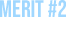 MERIT #2