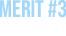MERIT #3