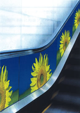 ���܂����_��